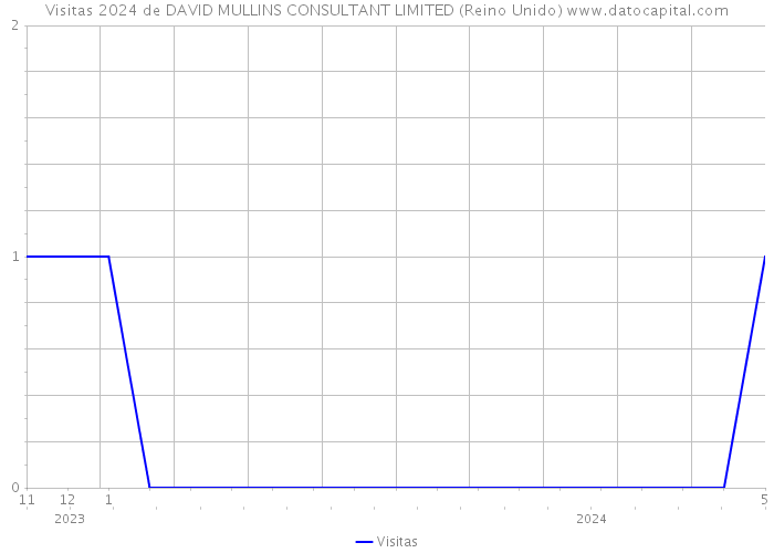 Visitas 2024 de DAVID MULLINS CONSULTANT LIMITED (Reino Unido) 