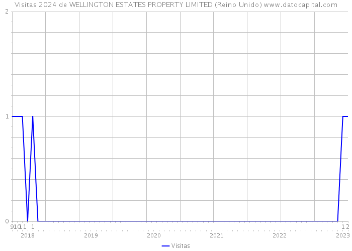 Visitas 2024 de WELLINGTON ESTATES PROPERTY LIMITED (Reino Unido) 