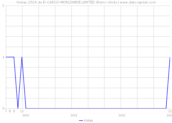Visitas 2024 de E-CARGO WORLDWIDE LIMITED (Reino Unido) 