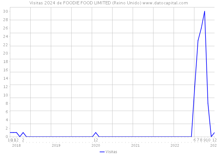 Visitas 2024 de FOODIE FOOD LIMITED (Reino Unido) 