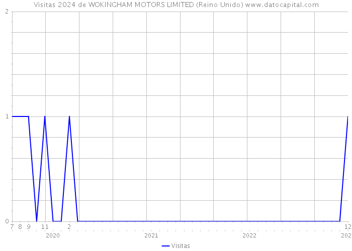 Visitas 2024 de WOKINGHAM MOTORS LIMITED (Reino Unido) 