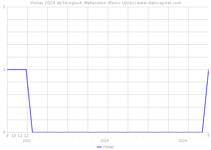 Visitas 2024 de Nongluck Wallerstein (Reino Unido) 