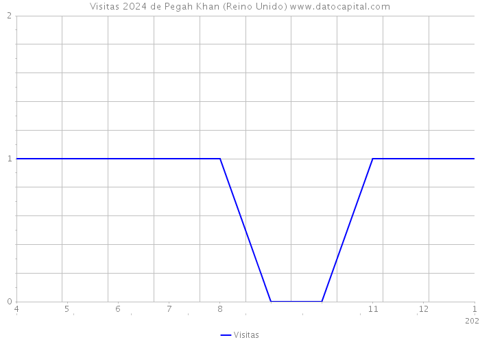 Visitas 2024 de Pegah Khan (Reino Unido) 