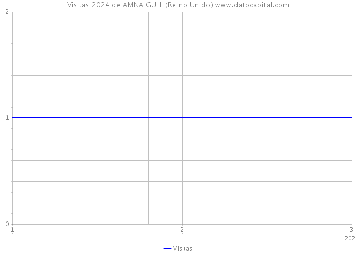 Visitas 2024 de AMNA GULL (Reino Unido) 