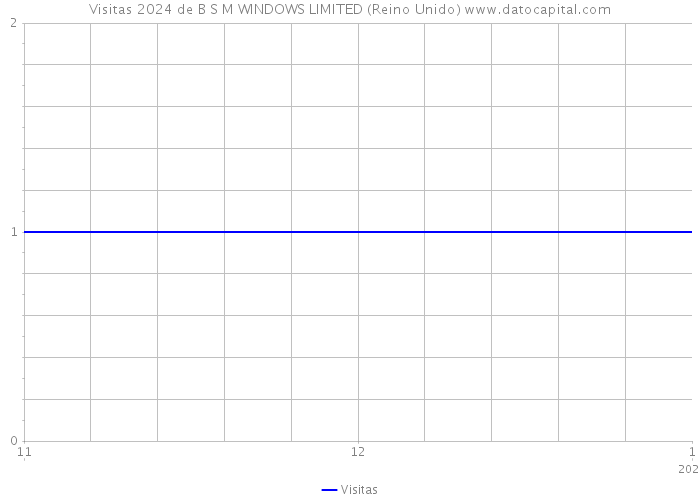 Visitas 2024 de B S M WINDOWS LIMITED (Reino Unido) 