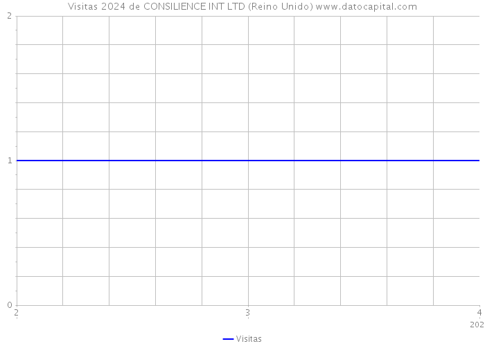 Visitas 2024 de CONSILIENCE INT LTD (Reino Unido) 