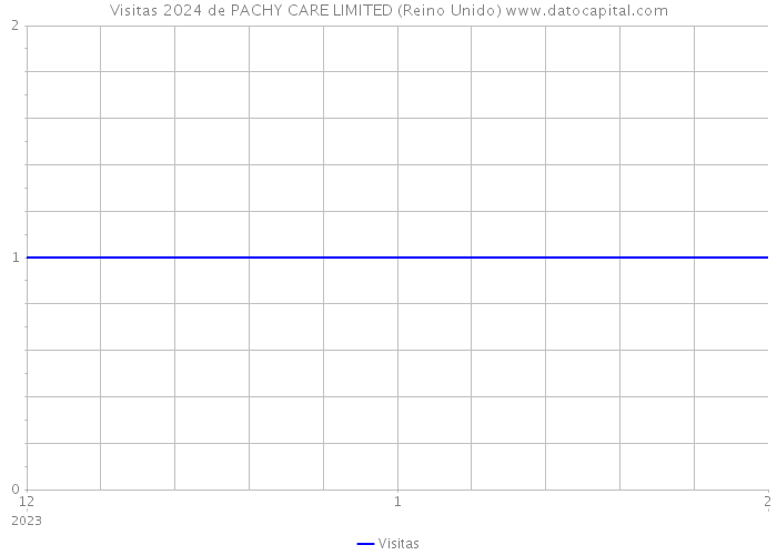 Visitas 2024 de PACHY CARE LIMITED (Reino Unido) 