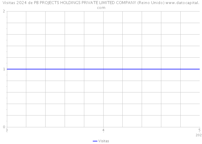Visitas 2024 de PB PROJECTS HOLDINGS PRIVATE LIMITED COMPANY (Reino Unido) 