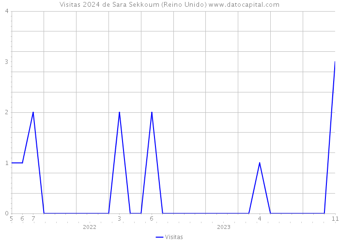 Visitas 2024 de Sara Sekkoum (Reino Unido) 