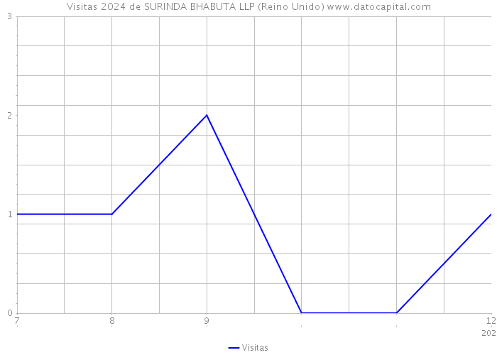 Visitas 2024 de SURINDA BHABUTA LLP (Reino Unido) 