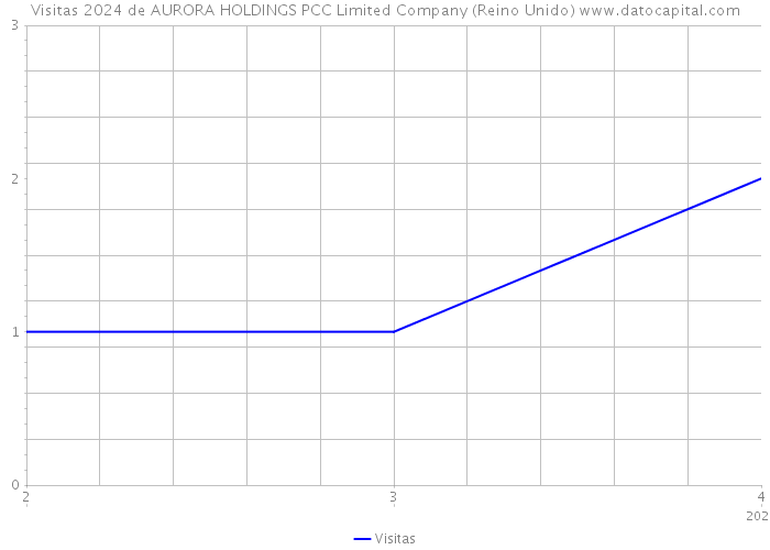 Visitas 2024 de AURORA HOLDINGS PCC Limited Company (Reino Unido) 