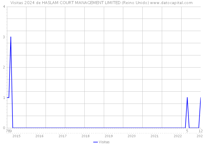 Visitas 2024 de HASLAM COURT MANAGEMENT LIMITED (Reino Unido) 