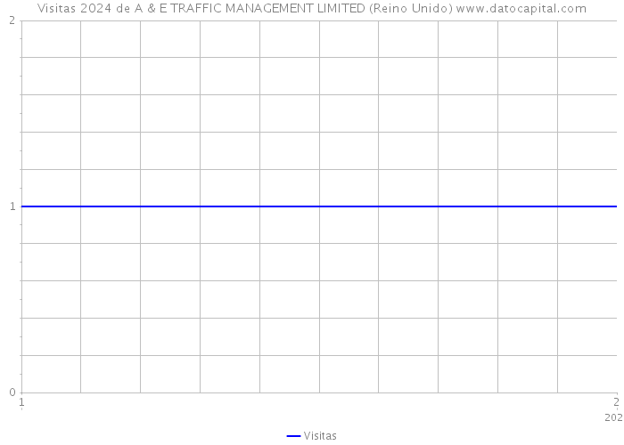 Visitas 2024 de A & E TRAFFIC MANAGEMENT LIMITED (Reino Unido) 