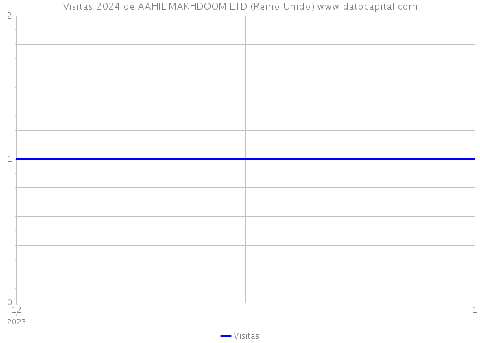 Visitas 2024 de AAHIL MAKHDOOM LTD (Reino Unido) 