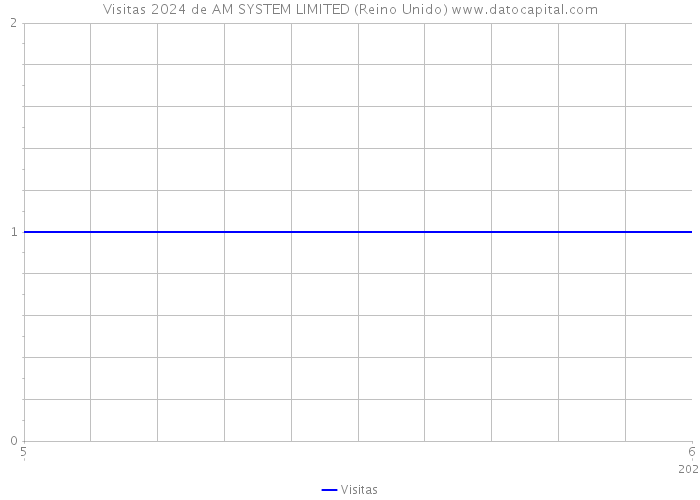 Visitas 2024 de AM SYSTEM LIMITED (Reino Unido) 