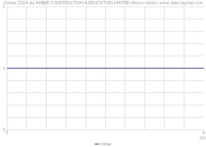 Visitas 2024 de AMBER CONSTRUCTION & EDUCATION LIMITED (Reino Unido) 