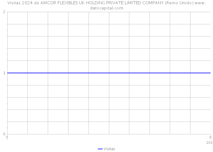 Visitas 2024 de AMCOR FLEXIBLES UK HOLDING PRIVATE LIMITED COMPANY (Reino Unido) 