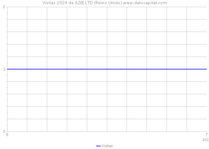 Visitas 2024 de AZIE LTD (Reino Unido) 