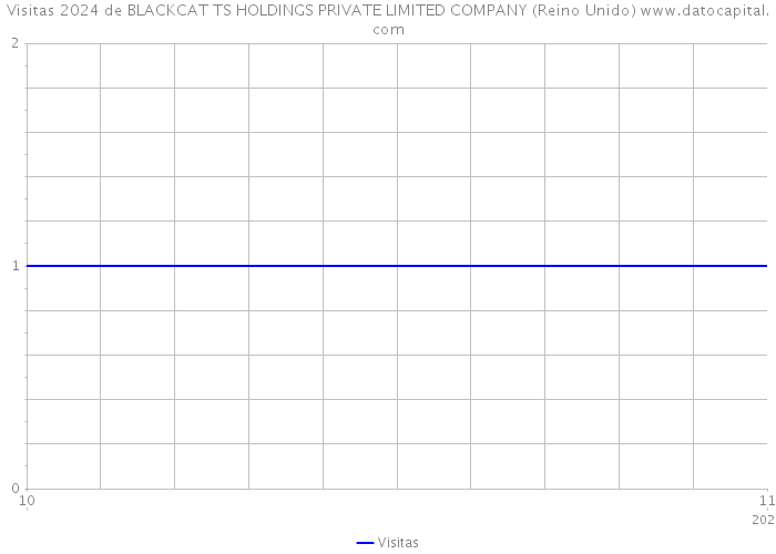 Visitas 2024 de BLACKCAT TS HOLDINGS PRIVATE LIMITED COMPANY (Reino Unido) 