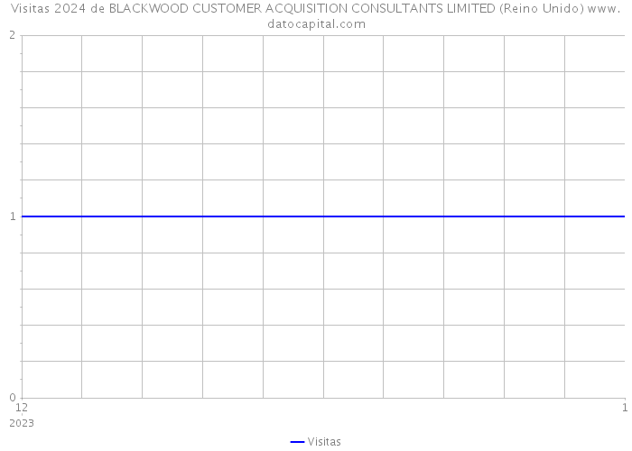 Visitas 2024 de BLACKWOOD CUSTOMER ACQUISITION CONSULTANTS LIMITED (Reino Unido) 