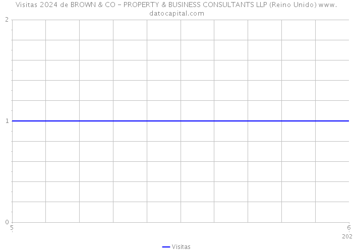 Visitas 2024 de BROWN & CO - PROPERTY & BUSINESS CONSULTANTS LLP (Reino Unido) 