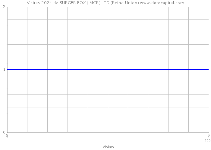 Visitas 2024 de BURGER BOX ( MCR) LTD (Reino Unido) 