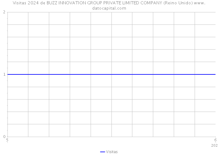 Visitas 2024 de BUZZ INNOVATION GROUP PRIVATE LIMITED COMPANY (Reino Unido) 