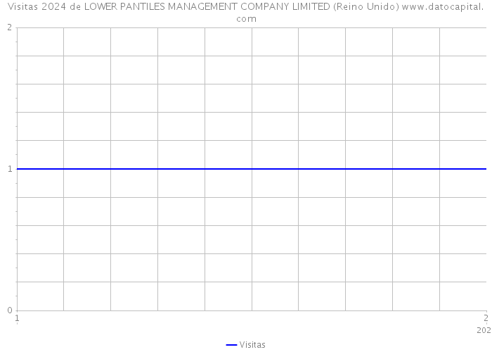 Visitas 2024 de LOWER PANTILES MANAGEMENT COMPANY LIMITED (Reino Unido) 