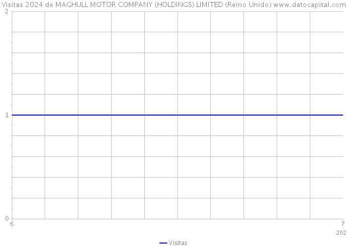 Visitas 2024 de MAGHULL MOTOR COMPANY (HOLDINGS) LIMITED (Reino Unido) 