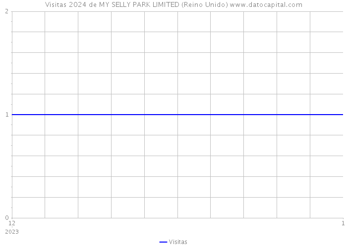 Visitas 2024 de MY SELLY PARK LIMITED (Reino Unido) 