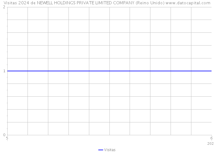 Visitas 2024 de NEWELL HOLDINGS PRIVATE LIMITED COMPANY (Reino Unido) 