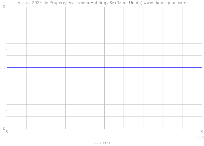 Visitas 2024 de Property Investment Holdings Bv (Reino Unido) 