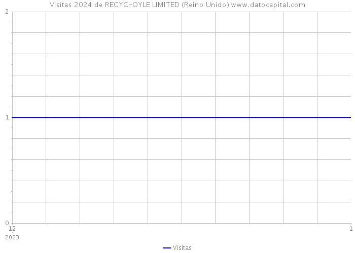 Visitas 2024 de RECYC-OYLE LIMITED (Reino Unido) 