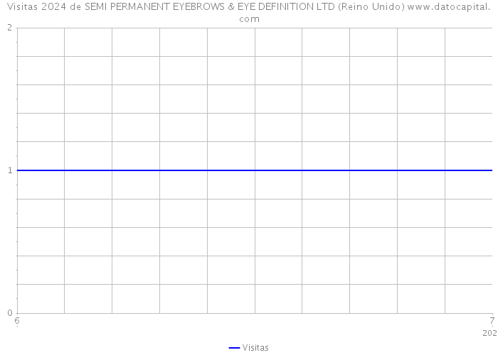 Visitas 2024 de SEMI PERMANENT EYEBROWS & EYE DEFINITION LTD (Reino Unido) 