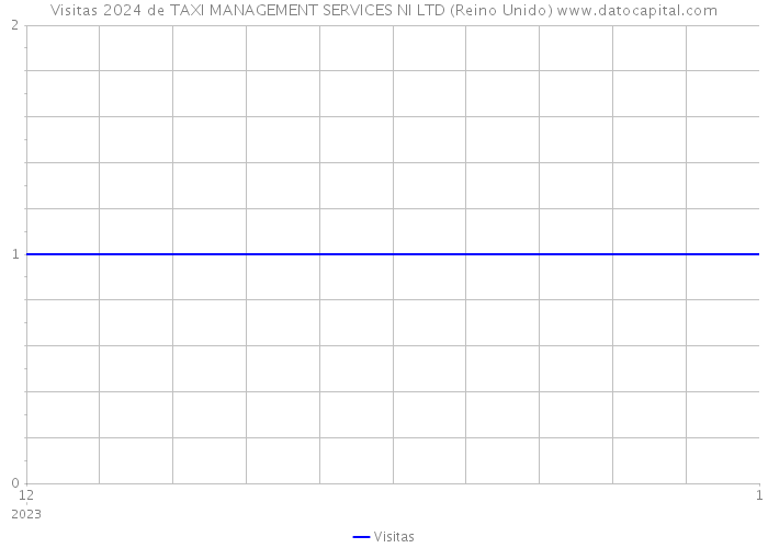 Visitas 2024 de TAXI MANAGEMENT SERVICES NI LTD (Reino Unido) 