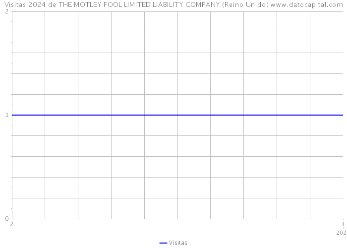 Visitas 2024 de THE MOTLEY FOOL LIMITED LIABILITY COMPANY (Reino Unido) 