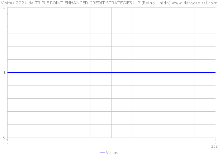 Visitas 2024 de TRIPLE POINT ENHANCED CREDIT STRATEGIES LLP (Reino Unido) 