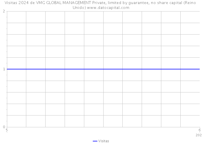 Visitas 2024 de VMG GLOBAL MANAGEMENT Private, limited by guarantee, no share capital (Reino Unido) 