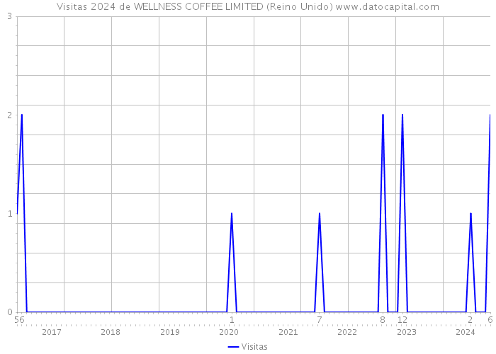 Visitas 2024 de WELLNESS COFFEE LIMITED (Reino Unido) 