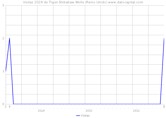 Visitas 2024 de Tigist Shibabaw Wolle (Reino Unido) 