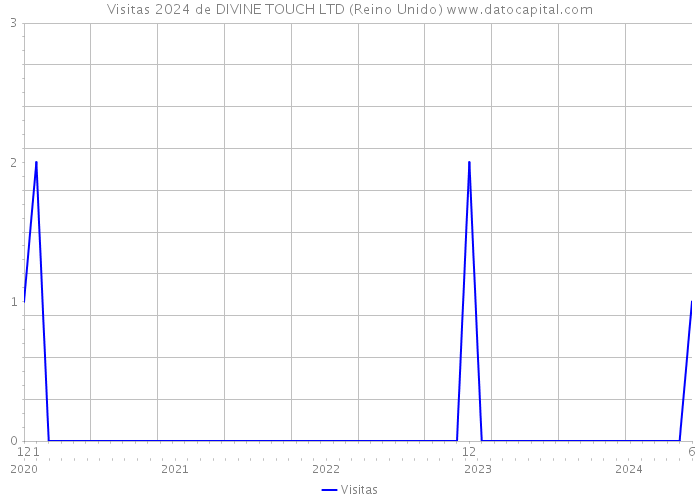 Visitas 2024 de DIVINE TOUCH LTD (Reino Unido) 