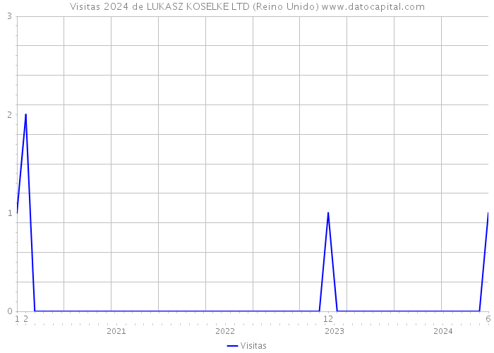 Visitas 2024 de LUKASZ KOSELKE LTD (Reino Unido) 