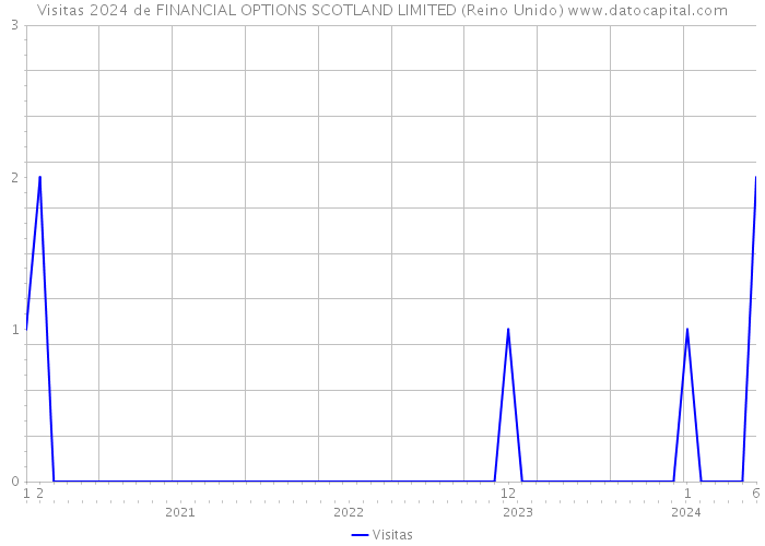 Visitas 2024 de FINANCIAL OPTIONS SCOTLAND LIMITED (Reino Unido) 