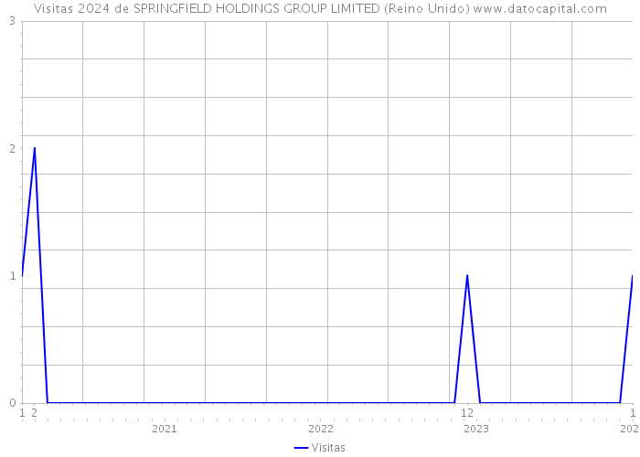 Visitas 2024 de SPRINGFIELD HOLDINGS GROUP LIMITED (Reino Unido) 