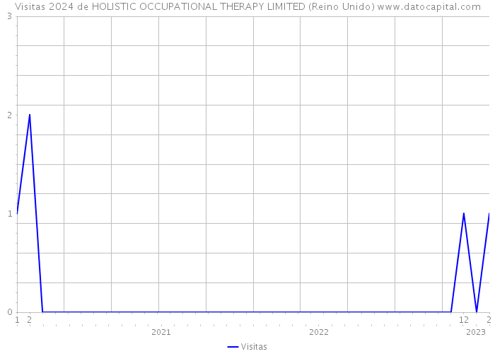 Visitas 2024 de HOLISTIC OCCUPATIONAL THERAPY LIMITED (Reino Unido) 