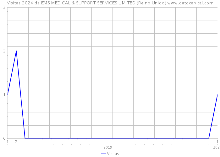 Visitas 2024 de EMS MEDICAL & SUPPORT SERVICES LIMITED (Reino Unido) 