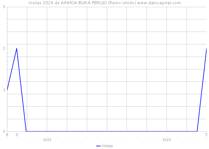 Visitas 2024 de AINHOA BUIKA PERUJO (Reino Unido) 
