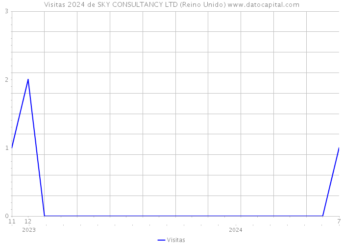 Visitas 2024 de SKY CONSULTANCY LTD (Reino Unido) 