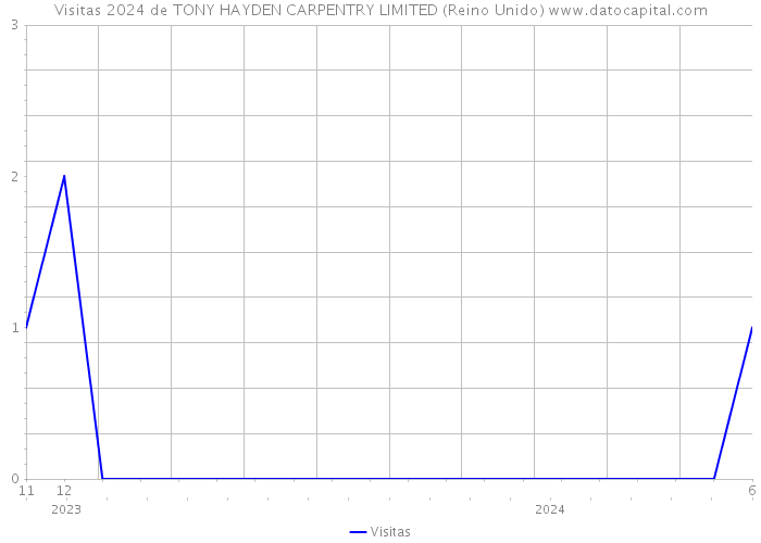 Visitas 2024 de TONY HAYDEN CARPENTRY LIMITED (Reino Unido) 