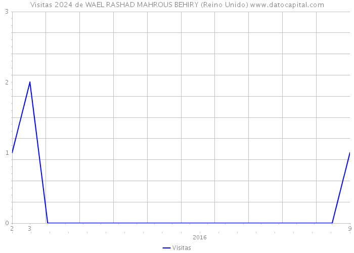 Visitas 2024 de WAEL RASHAD MAHROUS BEHIRY (Reino Unido) 